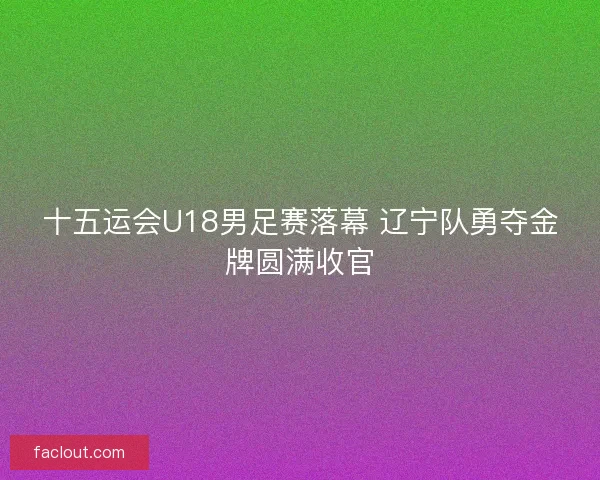十五运会U18男足赛落幕 辽宁队勇夺金牌圆满收官 十五运会U18男足赛落幕 辽宁队勇夺金牌圆满收官
